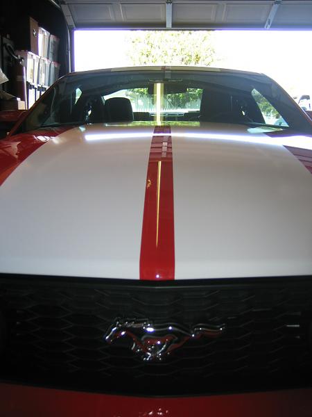 Ponies on The Run!-img_0927.jpg