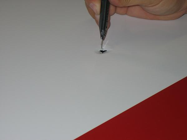 Ponies on The Run!-img_0934.jpg