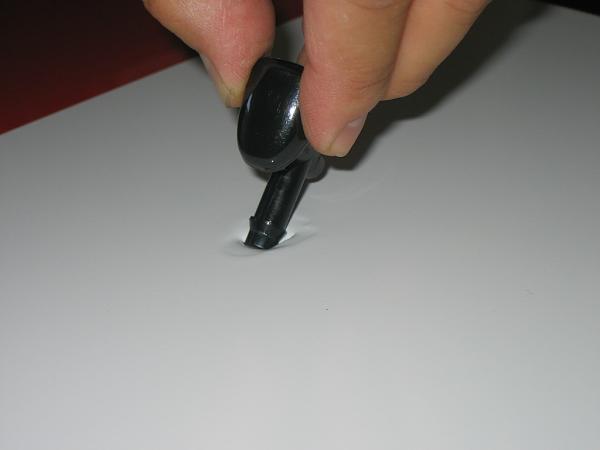 Ponies on The Run!-img_0938.jpg