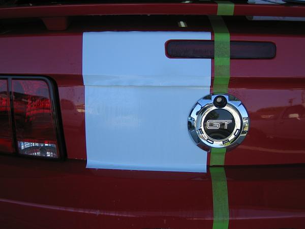 Ponies on The Run!-img_0941.jpg