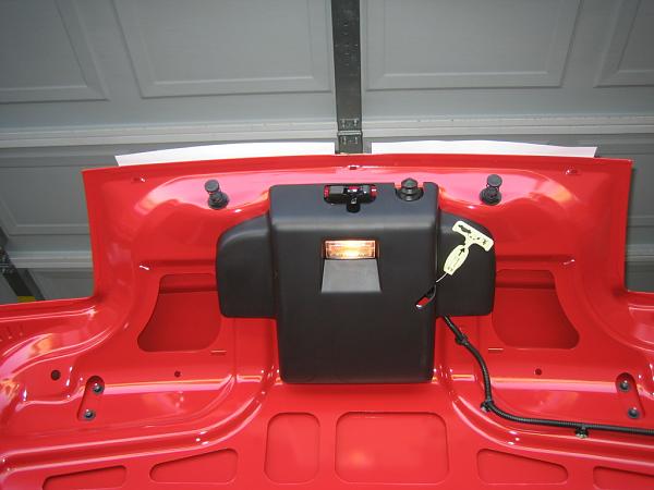 Ponies on The Run!-img_0944.jpg