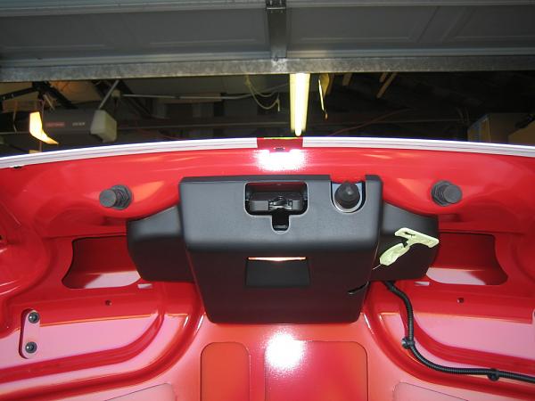 Ponies on The Run!-img_0946.jpg