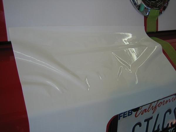 Ponies on The Run!-img_0959.jpg