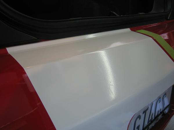 Ponies on The Run!-img_0960.jpg