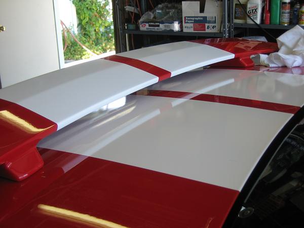 Ponies on The Run!-img_0967.jpg