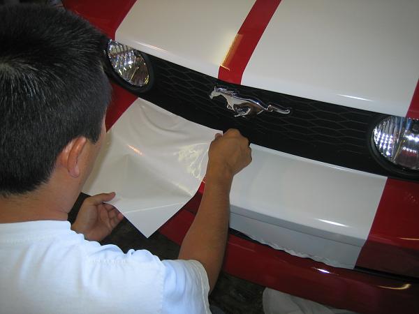 Ponies on The Run!-img_0976.jpg