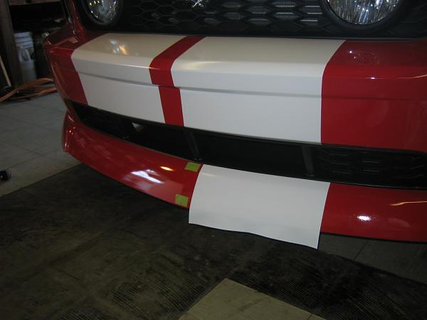 Ponies on The Run!-img_0984.jpg