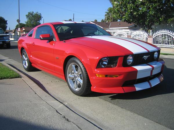 Ponies on The Run!-img_0991.jpg