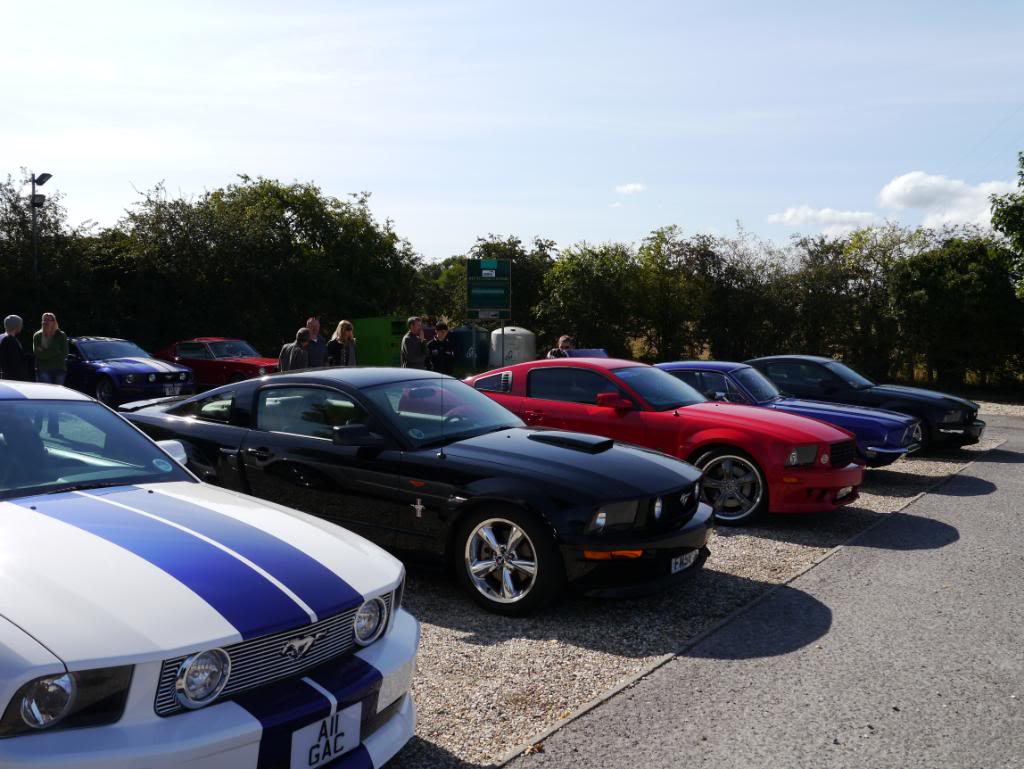 Name:  P1010328_zpsd66455f9.jpg
Views: 58
Size:  106.0 KB