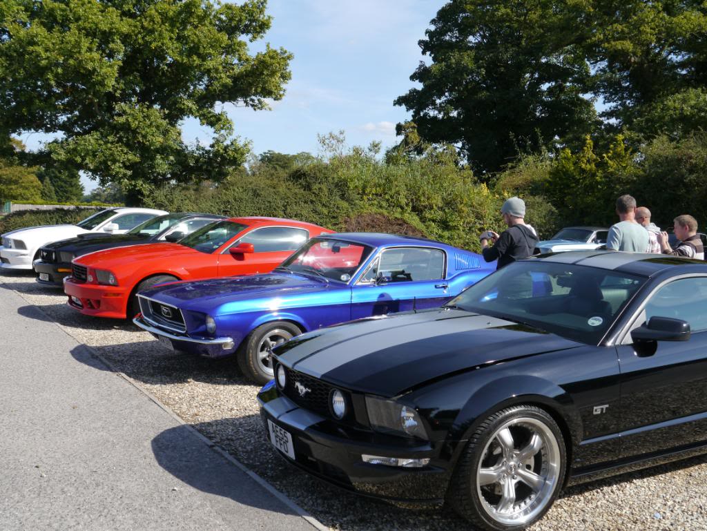 Name:  P1010346_zps0ae9da6f.jpg
Views: 53
Size:  163.8 KB