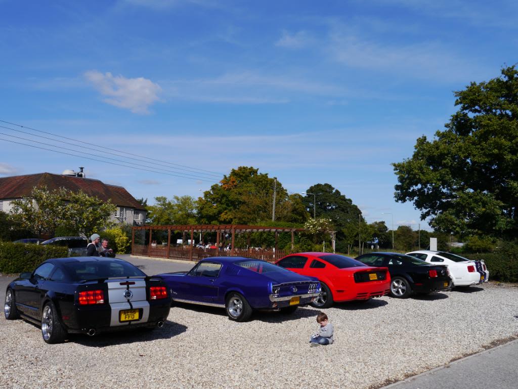 Name:  P1010343_zps13ded69f.jpg
Views: 74
Size:  116.3 KB