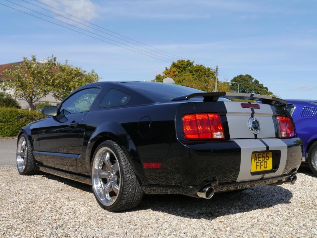 Name:  P1010344_zps9701a3c3.jpg
Views: 94
Size:  114.0 KB