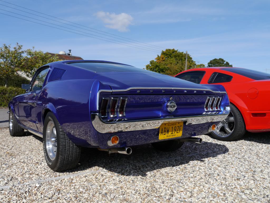 Name:  P1010342_zps48e5a9cc.jpg
Views: 98
Size:  131.7 KB