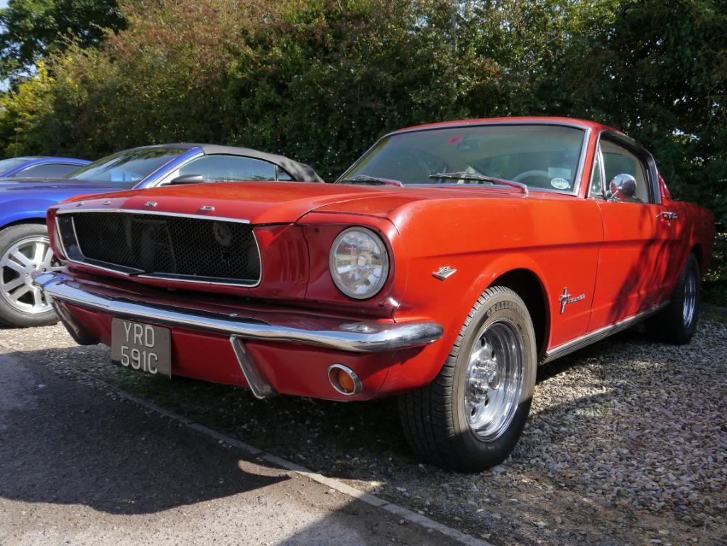 Name:  P1010341_zpsb84e50a2.jpg
Views: 44
Size:  141.5 KB