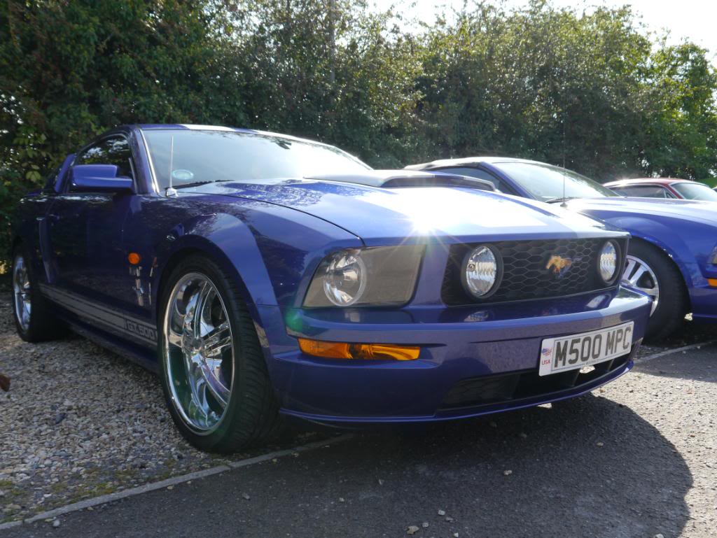 Name:  P1010340_zps42ddbfcc.jpg
Views: 121
Size:  127.4 KB