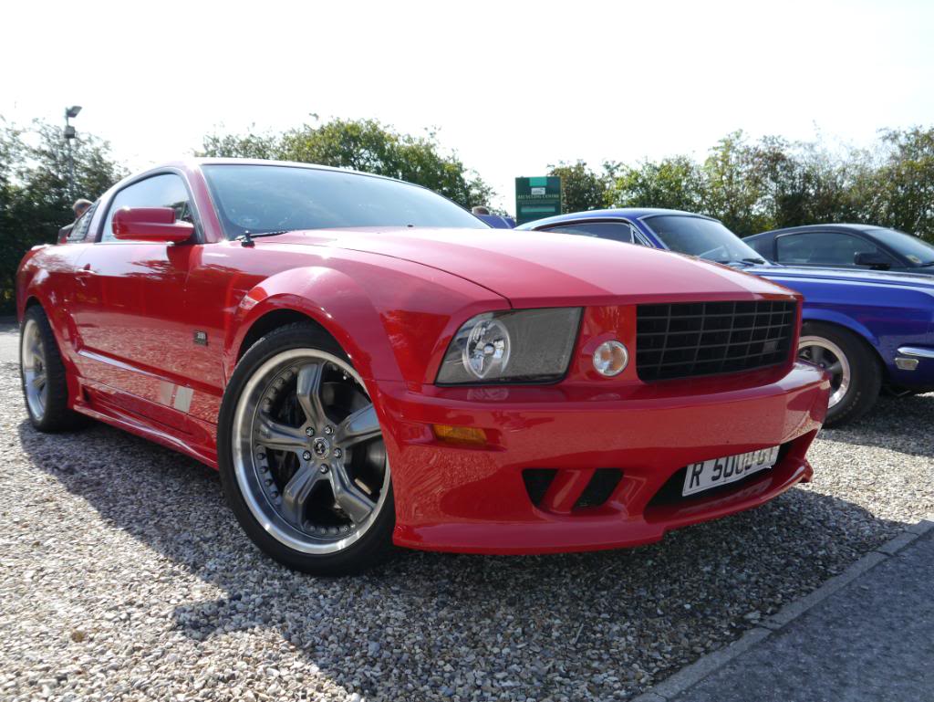 Name:  P1010330_zps672bcdcf.jpg
Views: 74
Size:  127.1 KB