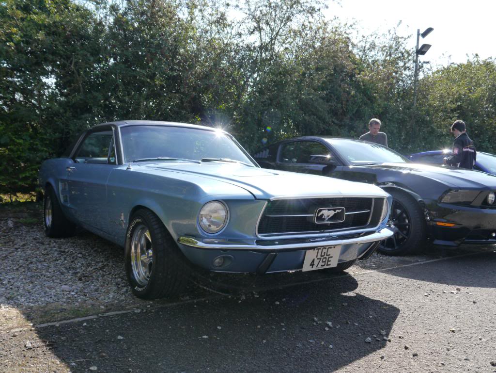 Name:  P1010337_zps1fd1ac53.jpg
Views: 76
Size:  143.3 KB