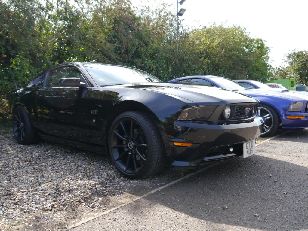 Name:  P1010335_zps7e34805c.jpg
Views: 45
Size:  144.4 KB