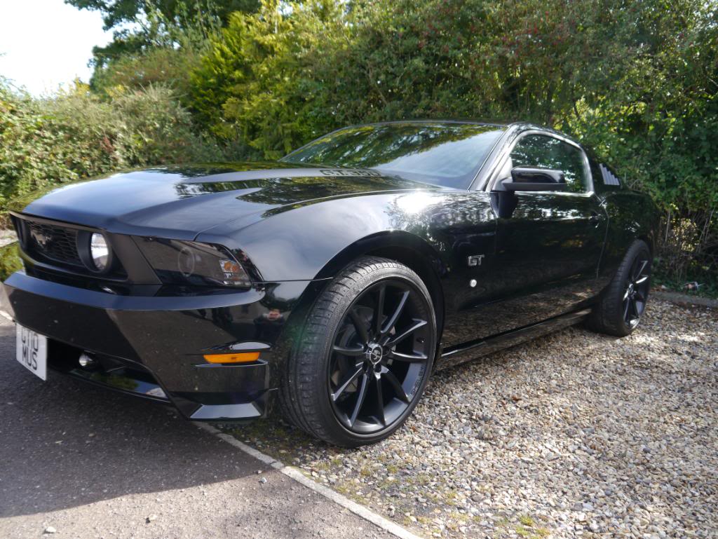 Name:  P1010334_zpsb55194a7.jpg
Views: 72
Size:  157.3 KB