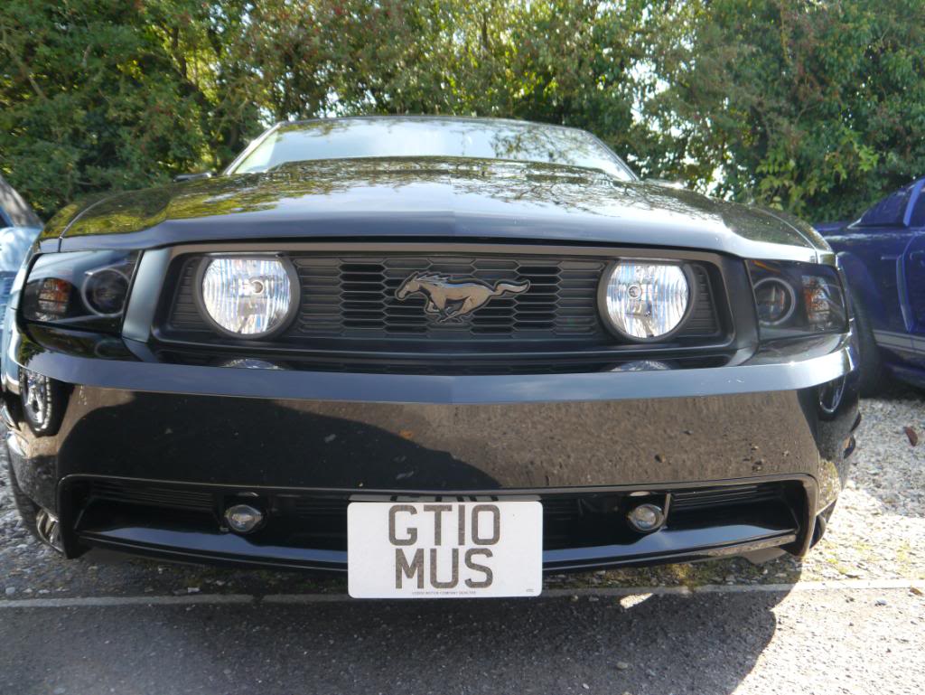 Name:  P1010339_zps7c6793ee.jpg
Views: 79
Size:  128.0 KB