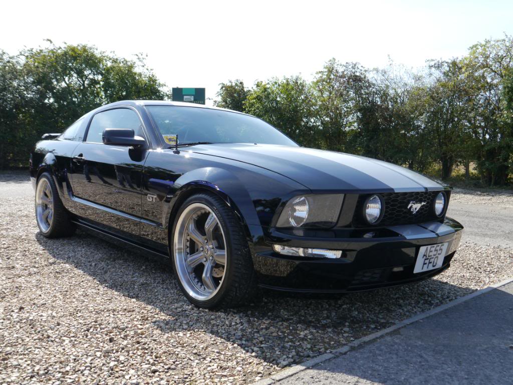 Name:  P1010332_zps02a9434a.jpg
Views: 62
Size:  147.9 KB