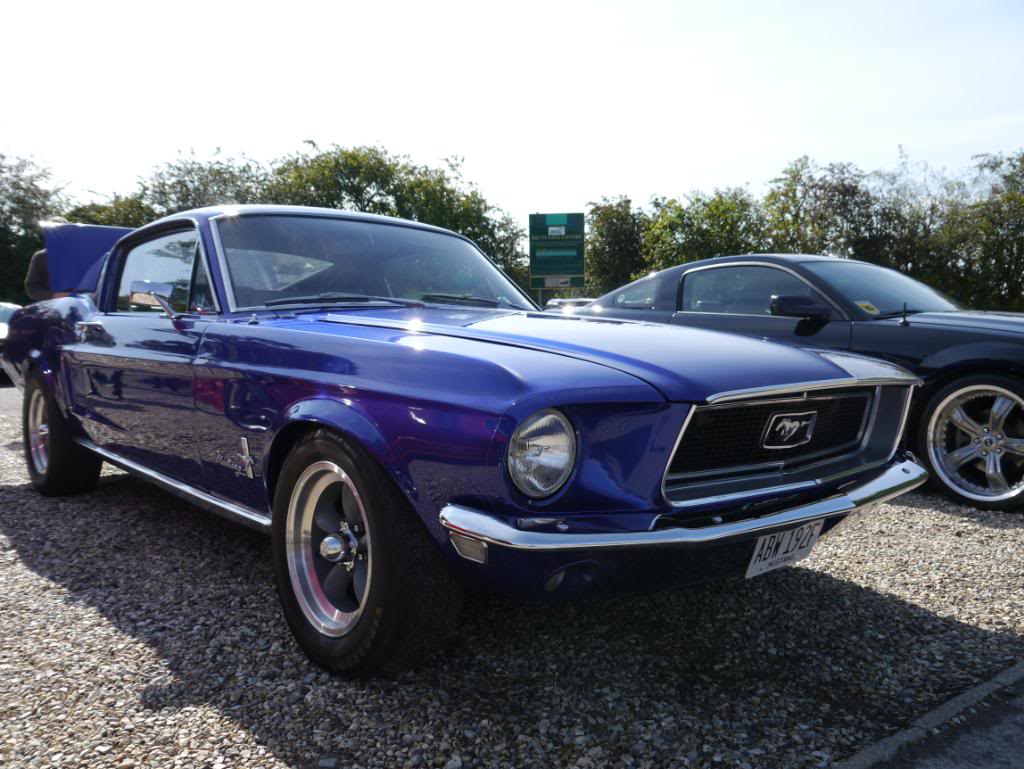 Name:  P1010331_zps53cbe671.jpg
Views: 42
Size:  119.7 KB