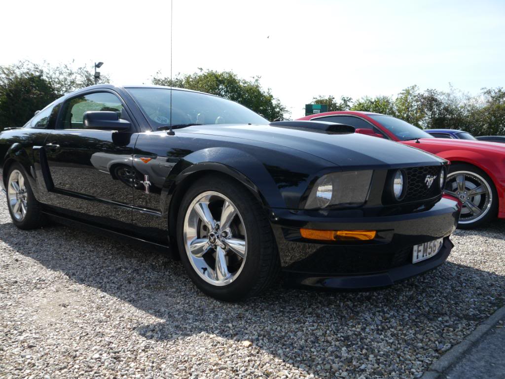 Name:  P1010329_zpsb159e1d0.jpg
Views: 123
Size:  130.3 KB