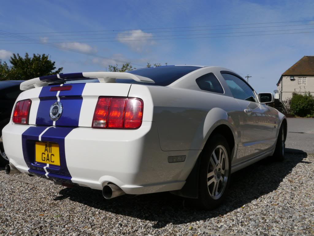 Name:  P1010325_zpscce701d4.jpg
Views: 88
Size:  99.4 KB