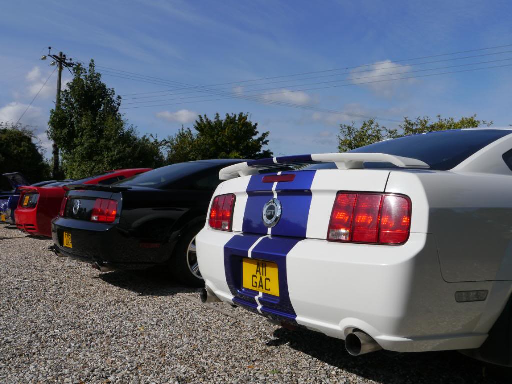 Name:  P1010326_zpsdddef0b7.jpg
Views: 83
Size:  105.2 KB