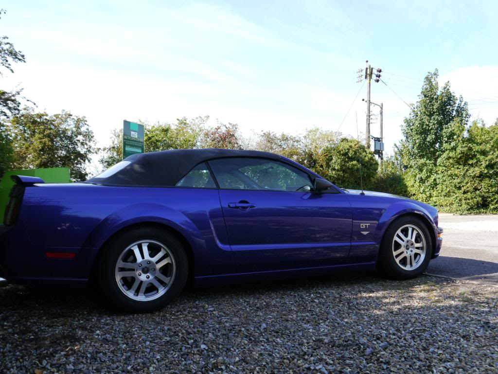 Name:  P1010324_zps365d741c.jpg
Views: 86
Size:  119.9 KB