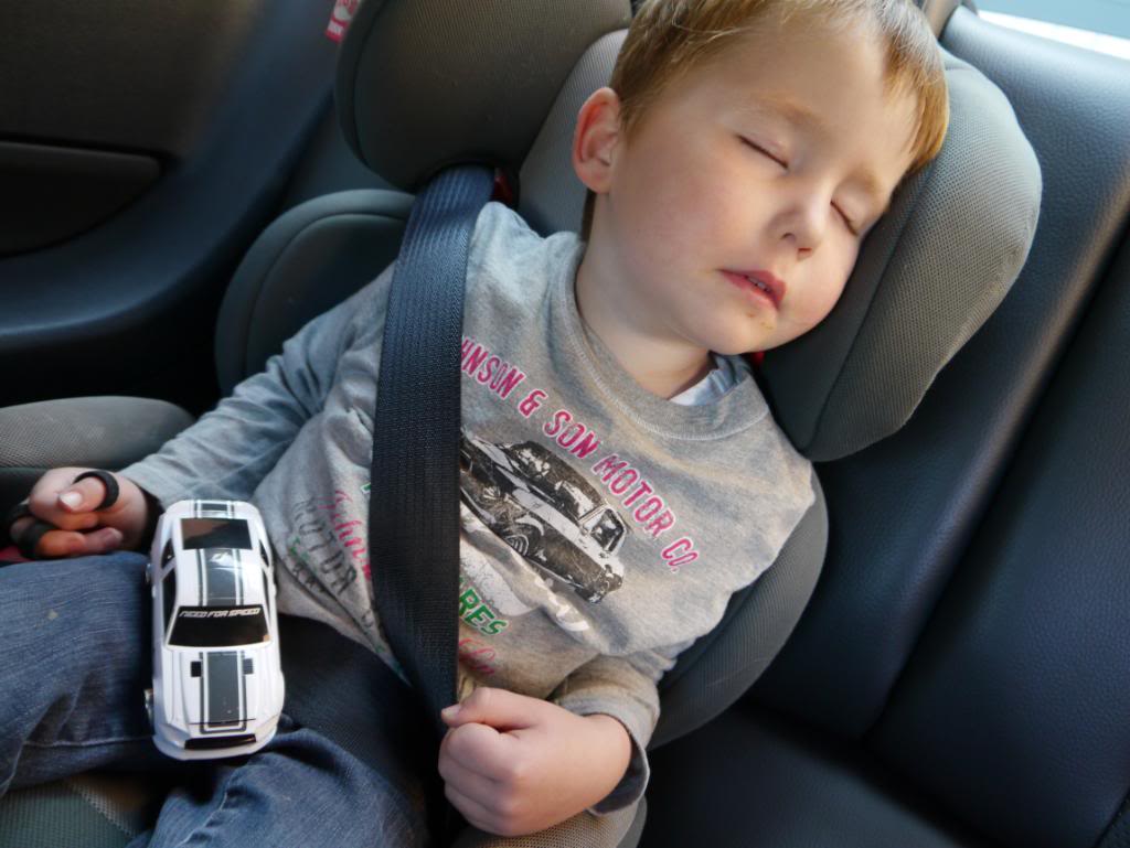 Name:  P1010348_zpsf4692f0e.jpg
Views: 39
Size:  79.9 KB