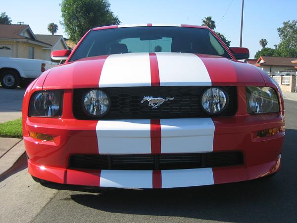 Ponies on The Run!-img_0999.jpg