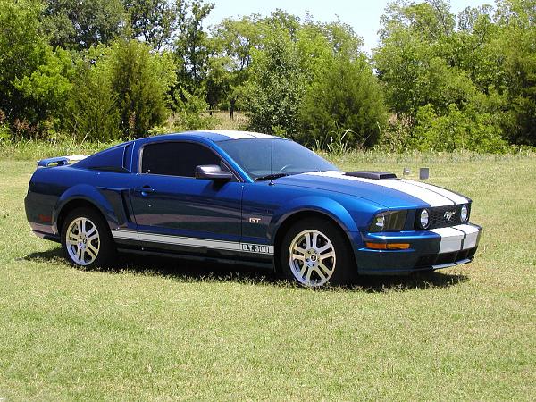 Ponies on The Run!-stripes-all-done-angle-3.jpg