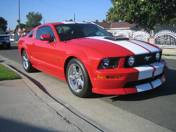 Ponies on The Run!-bills.jpg