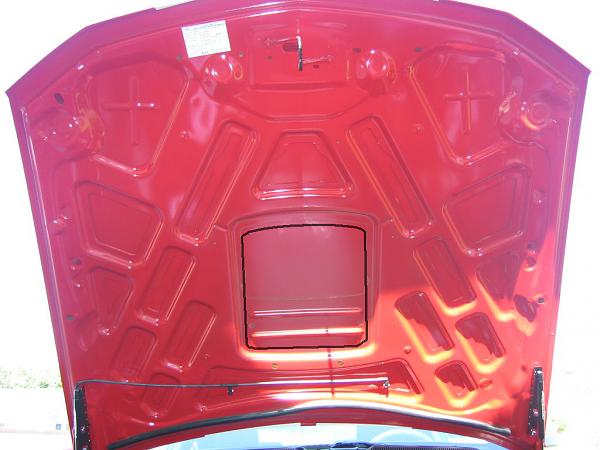 Ponies on The Run!-img_1002.jpg