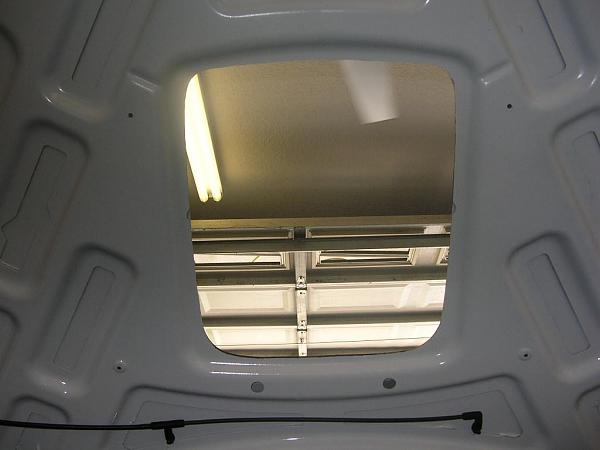 Ponies on The Run!-dscn3496.jpg