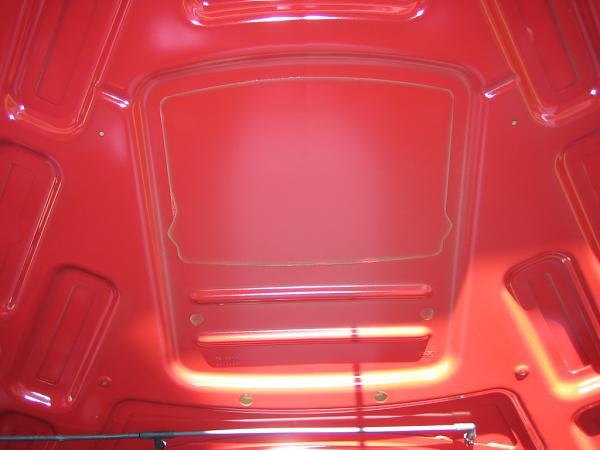 Ponies on The Run!-img_1000.jpg