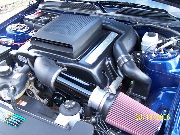 Ponies on The Run!-shaker-cold-air-duct-cone-filter.jpg