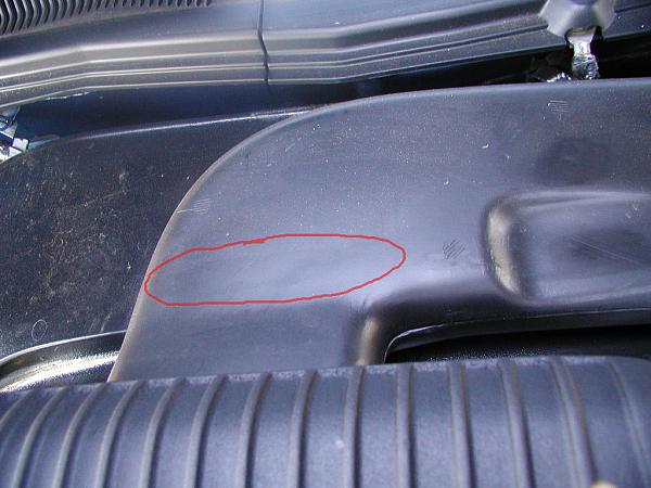 Ponies on The Run!-rub-spot-2.jpg