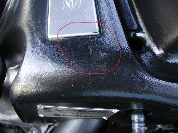 Ponies on The Run!-rub-spot-3.jpg