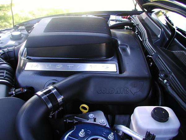 Ponies on The Run!-flow-tube-1.jpg