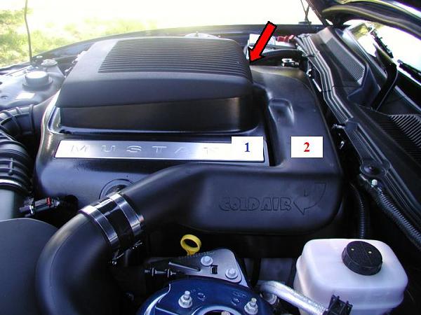 Ponies on The Run!-shaker-side-view.jpg