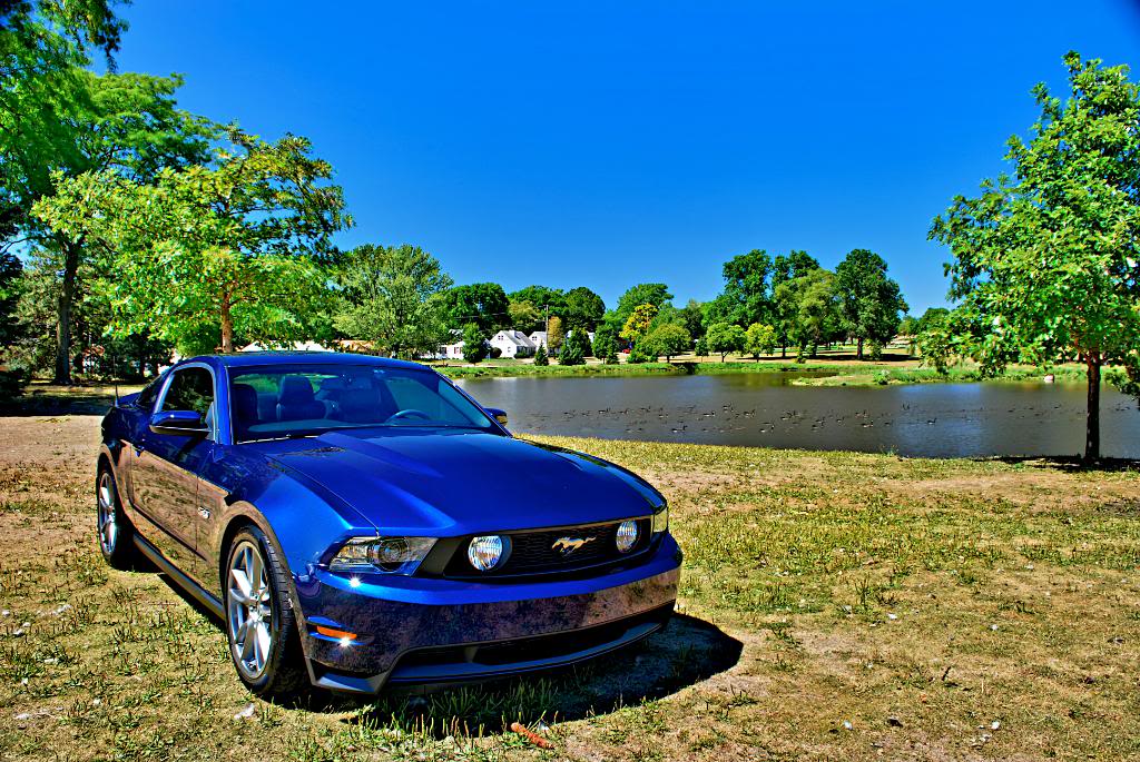 Name:  noel16b.jpg
Views: 50
Size:  204.1 KB