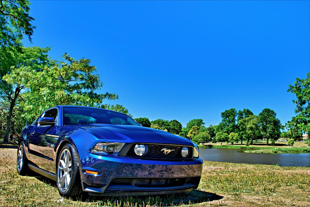 Name:  noel17.jpg
Views: 52
Size:  154.2 KB