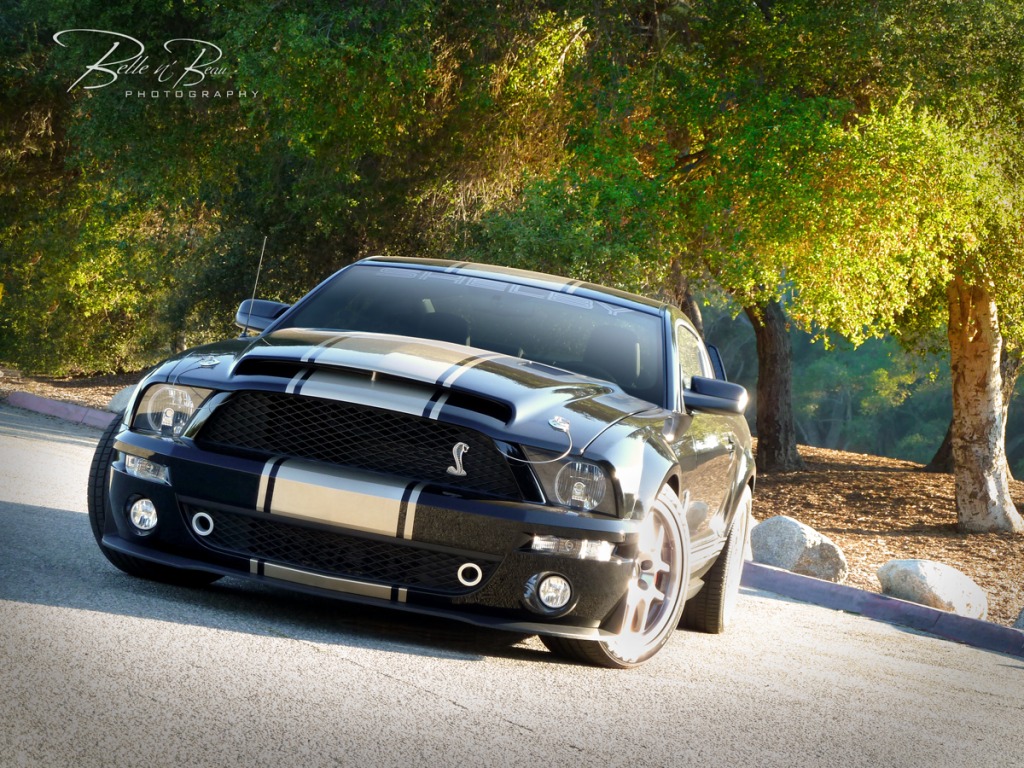 Name:  OakGrove0786Bre.jpg
Views: 226
Size:  344.7 KB