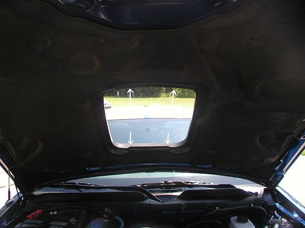 Ponies on The Run!-hoodinsualtion-cut1b.jpg