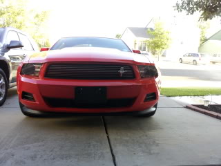 Name:  mustangfront003.jpg
Views: 64
Size:  15.4 KB