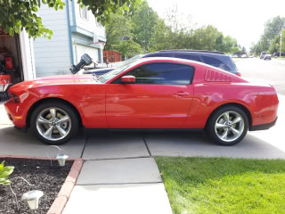 Name:  mustangnostripes001.jpg
Views: 64
Size:  23.5 KB