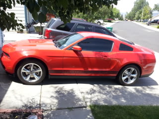 Name:  mustangwheels002.jpg
Views: 78
Size:  26.7 KB