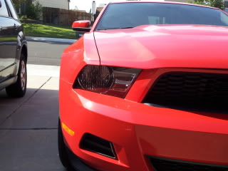 Name:  mustang713003.jpg
Views: 25
Size:  16.7 KB